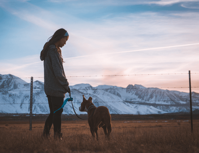 5 tips for losing excess weight with the help of your dog